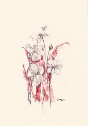 fleur 02